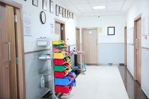 Clinic Gallery