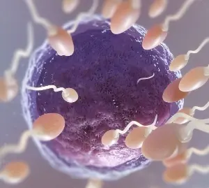 Doctor explaining myths and facts about piles treatment